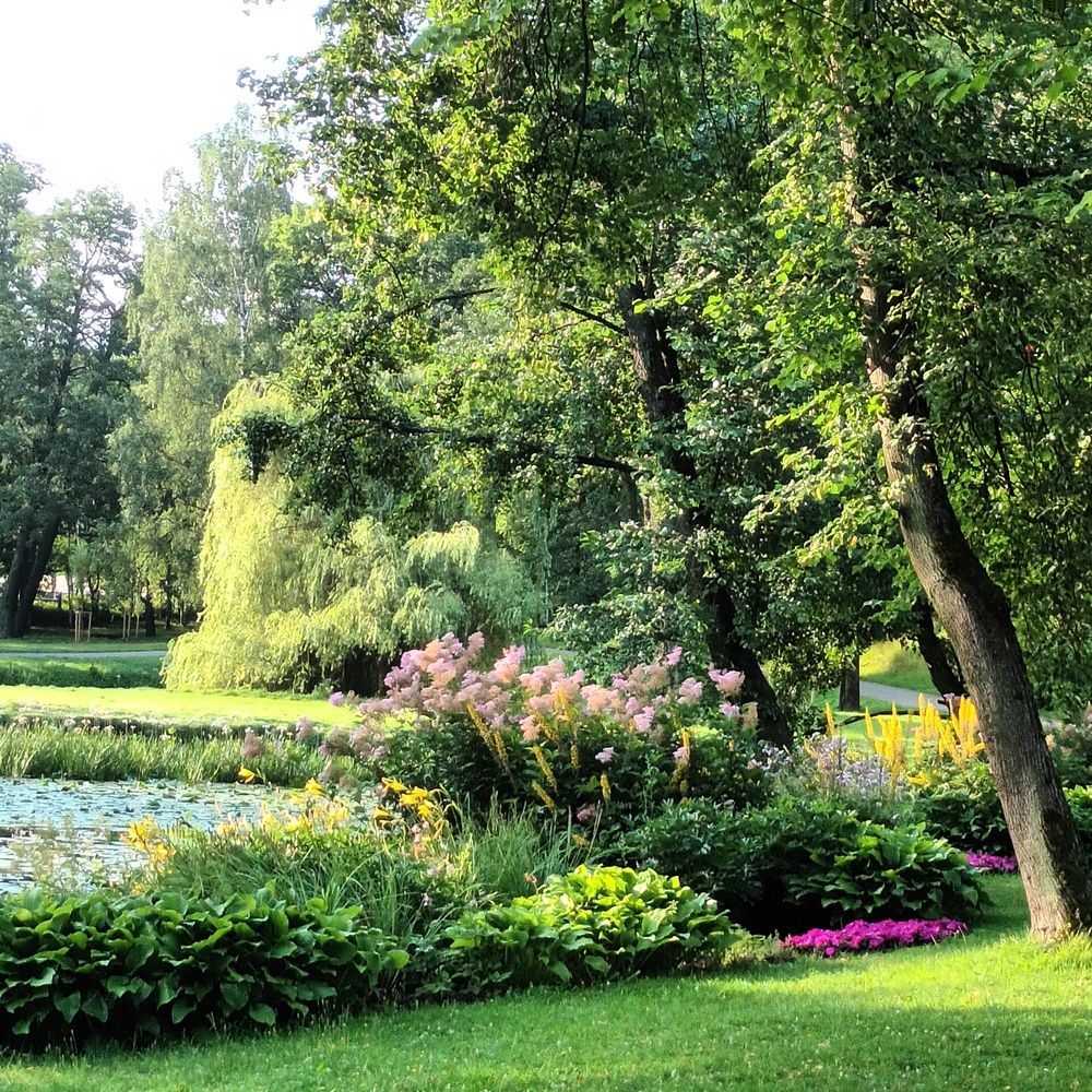 Фотография автора Maks Lanister