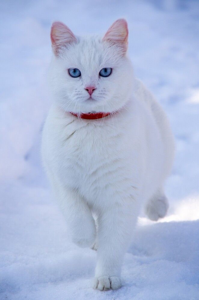 Photograph by Вика Коршунова