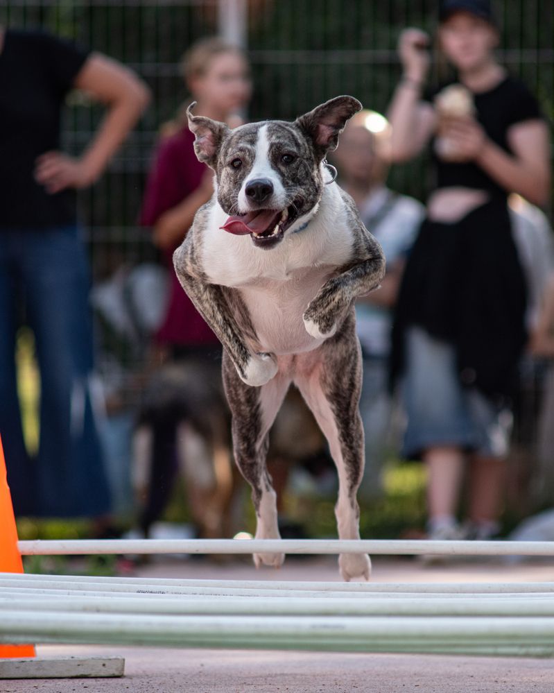 Фотография автора Aliaksandr Shautsou