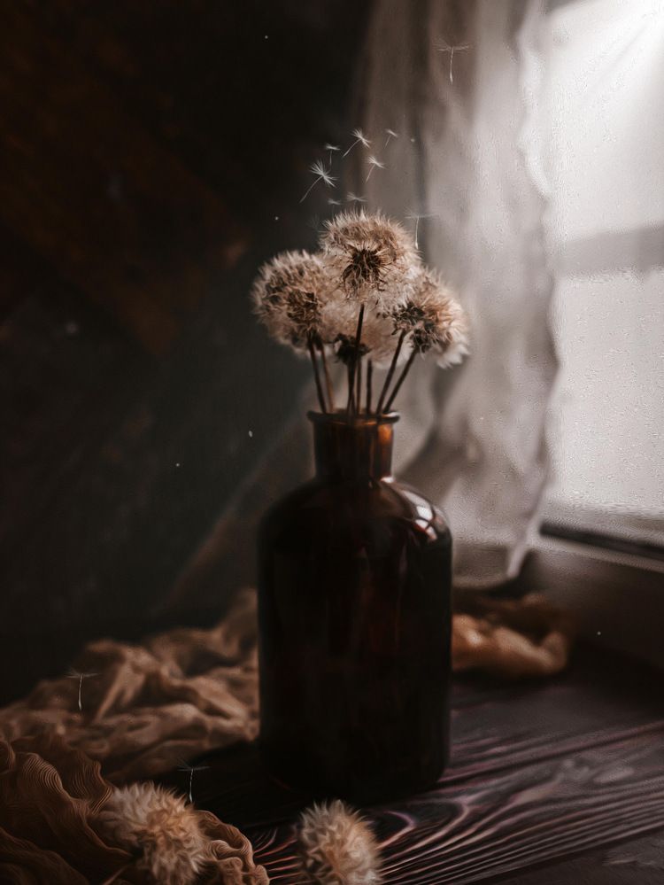 Photograph by Олеся Петрович