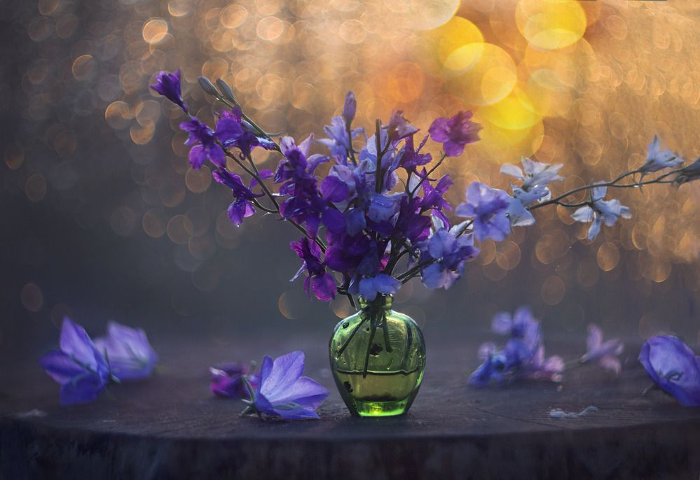 Photograph by Зимина Лионелла