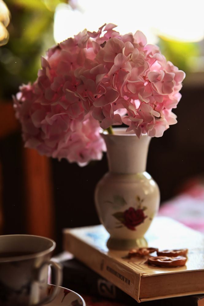 Photograph by Олеся Петрович