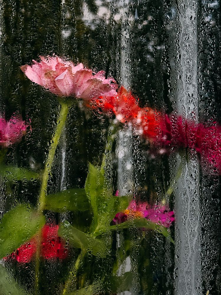 Photograph by Олеся Петрович