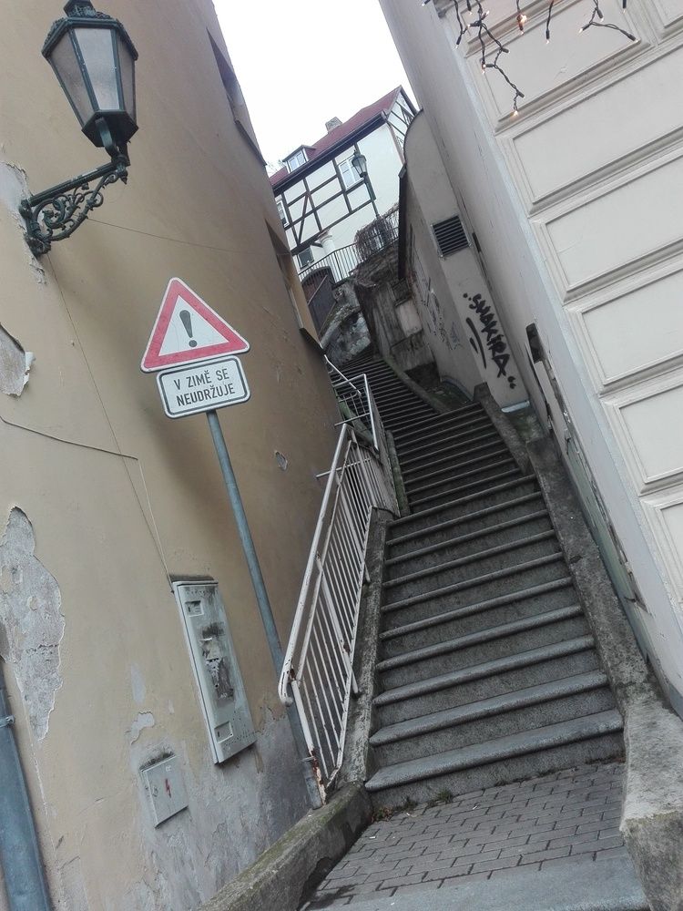 Photo #12482232
