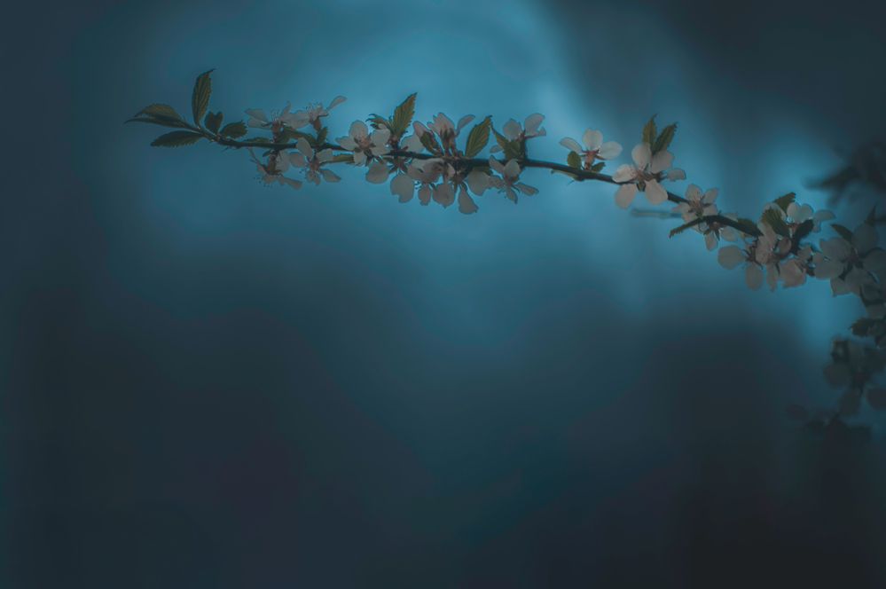 Photograph by Анастасия Пионтек