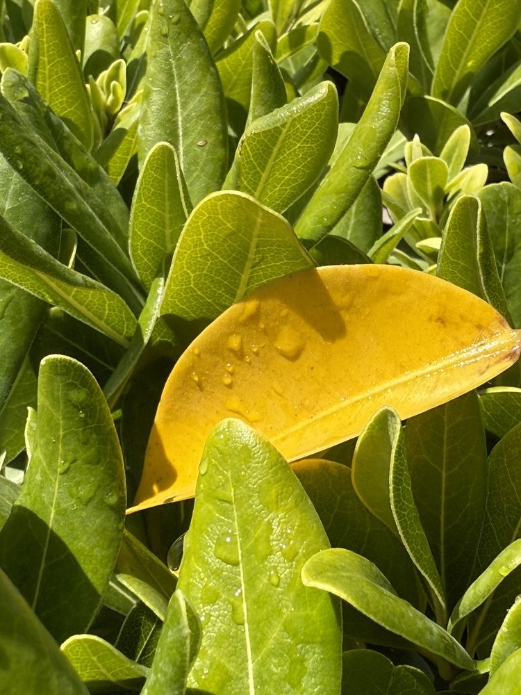 Photograph by Евгений