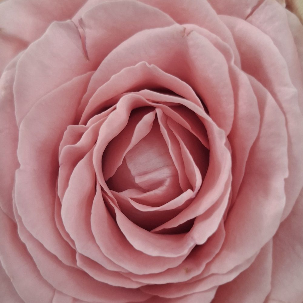 Photograph by Милана Кадиева