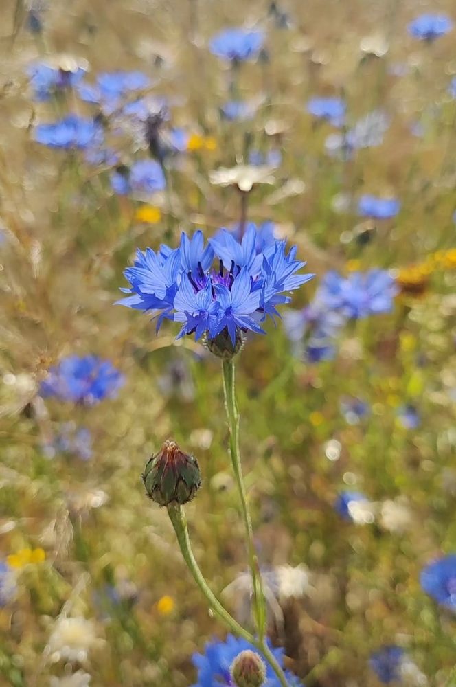 Photograph by Дарья