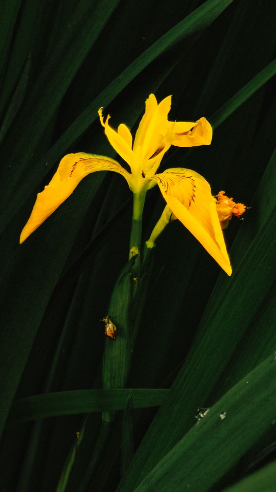 Photograph by Елена Анденко