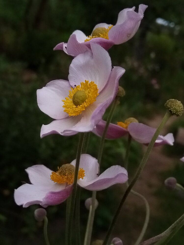 Photograph by Татьяна Солтан