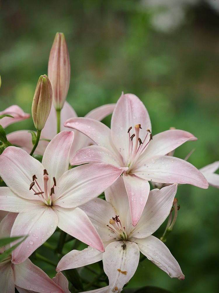 Photograph by Юлия Поршнева