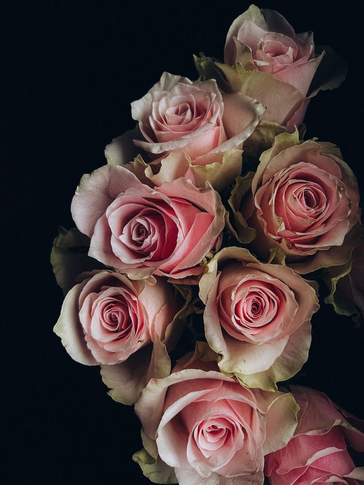 Photograph by Юстина Безух
