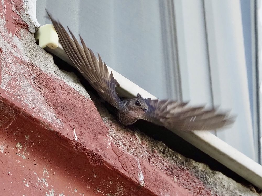 Photograph by Юлия Поршнева