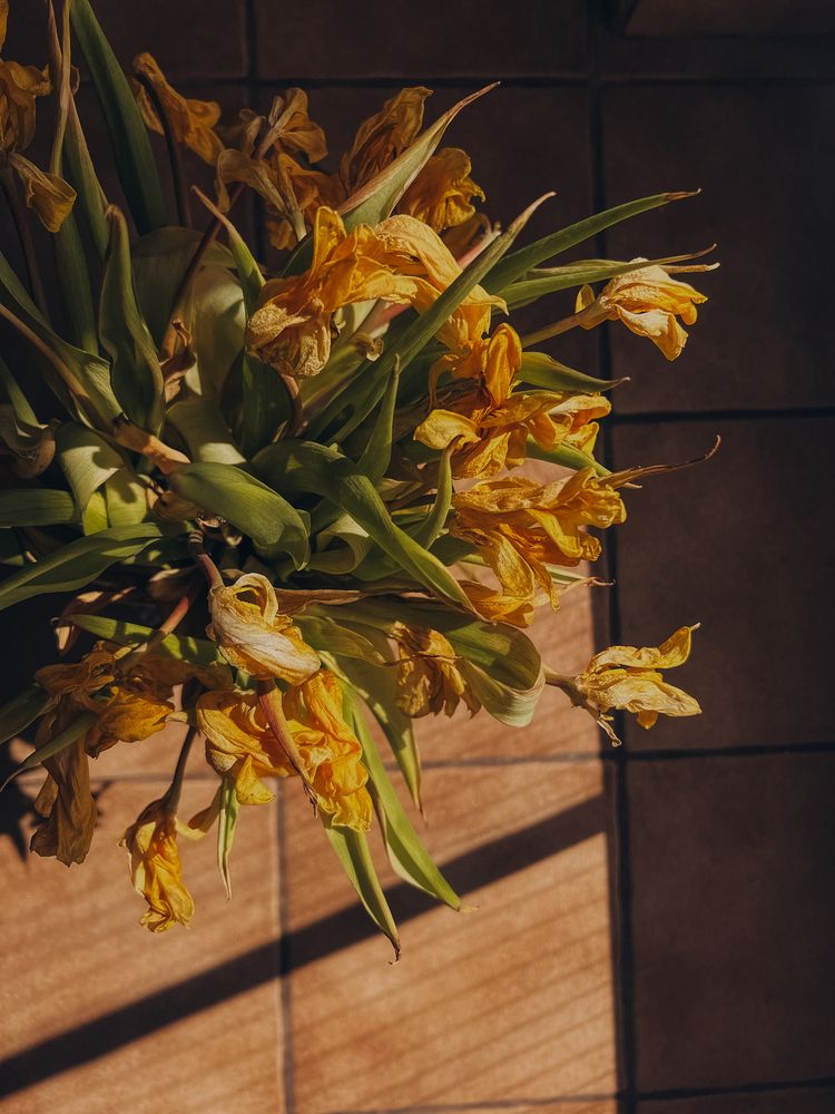 Photograph by Юстина Безух