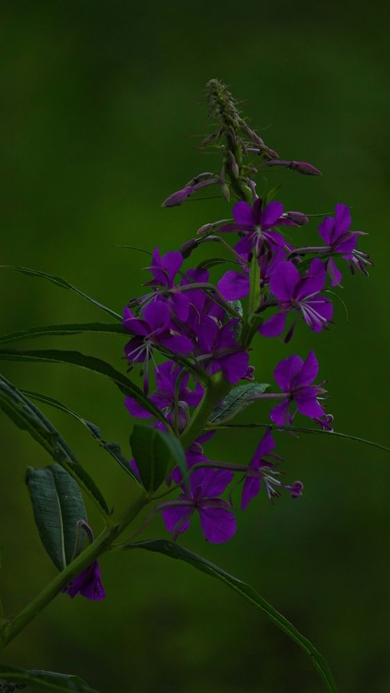 Photograph by Александр Климов