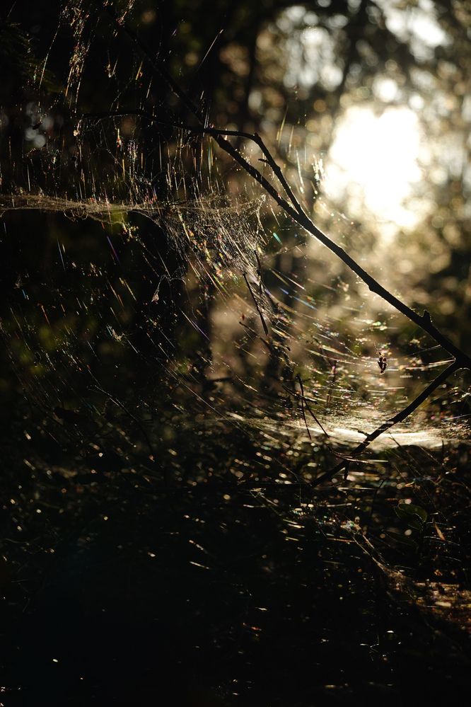 Photograph by Светлана Каравайская