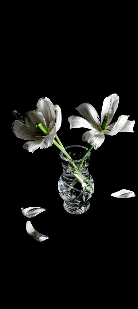 Photograph by Марина