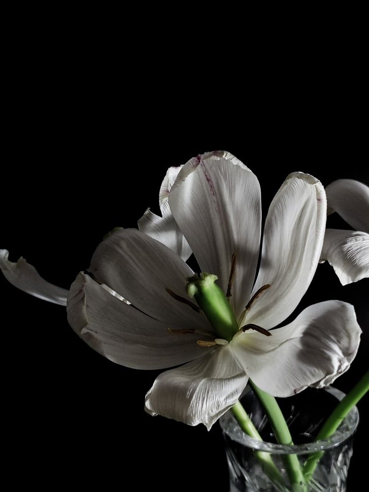 Photograph by Марина