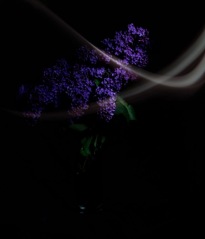 Фотография автора Ольга Шишук