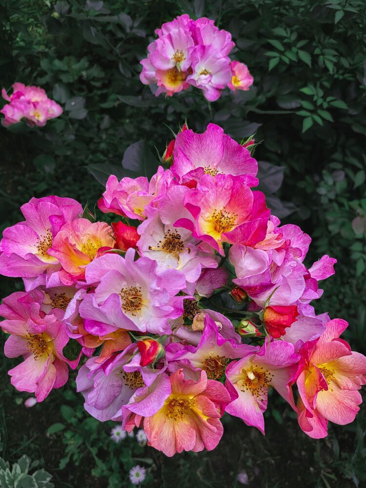 Photograph by Елена Фетисова