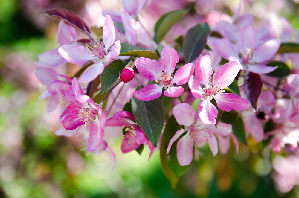 Photograph by Виолетта Бастет