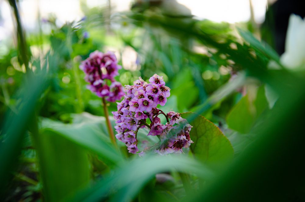 Photograph by Виолетта Бастет