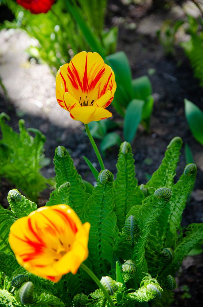 Photograph by Виолетта Бастет