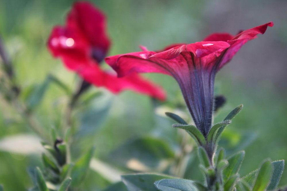 Photograph by Галина Мазур