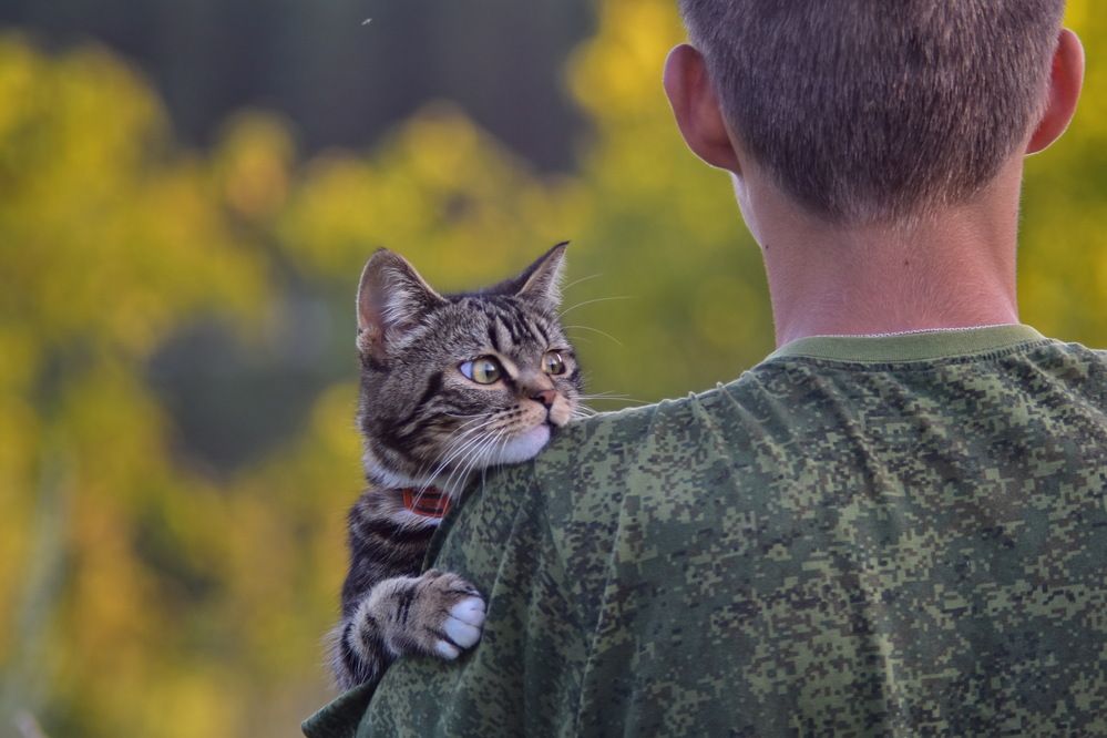 Photograph by Роман Пацкевич
