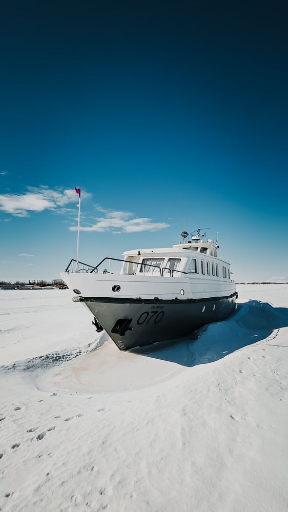 Фотография автора Дмитрий Шевченко