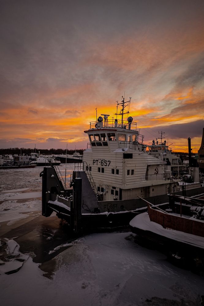 Фотография автора Дмитрий Шевченко