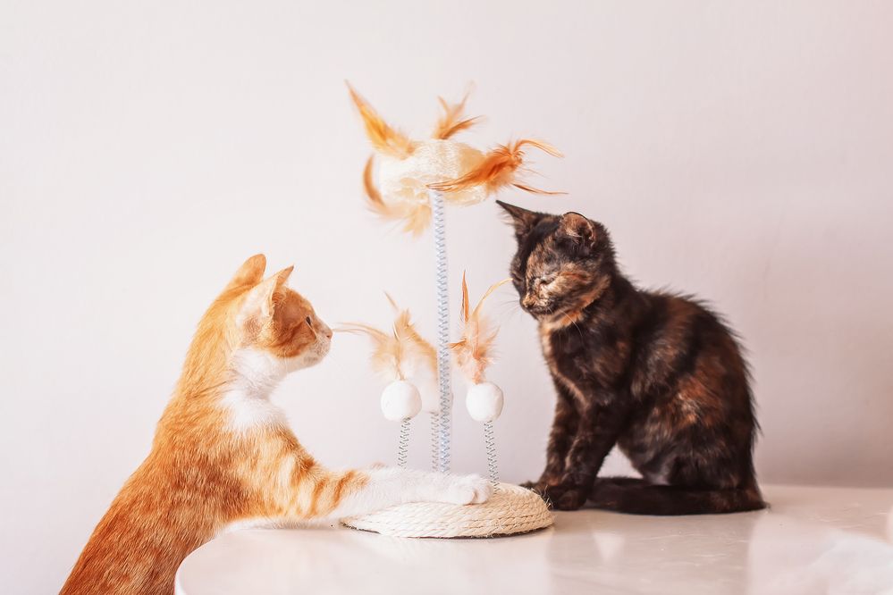 Photograph by Lana Soldatova