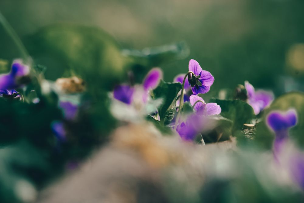 Фотография автора Анастасия Зайчуковская