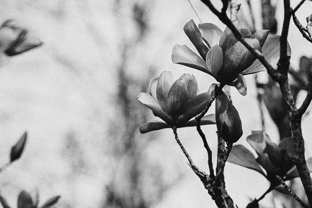 Фотография автора Анастасия Зайчуковская