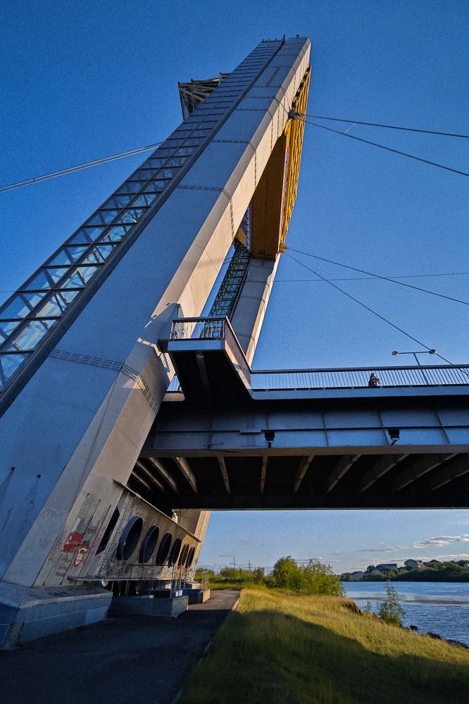 Фотография автора Дмитрий Шевченко