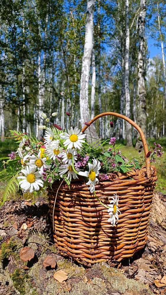 Photograph by Ирина Луговых