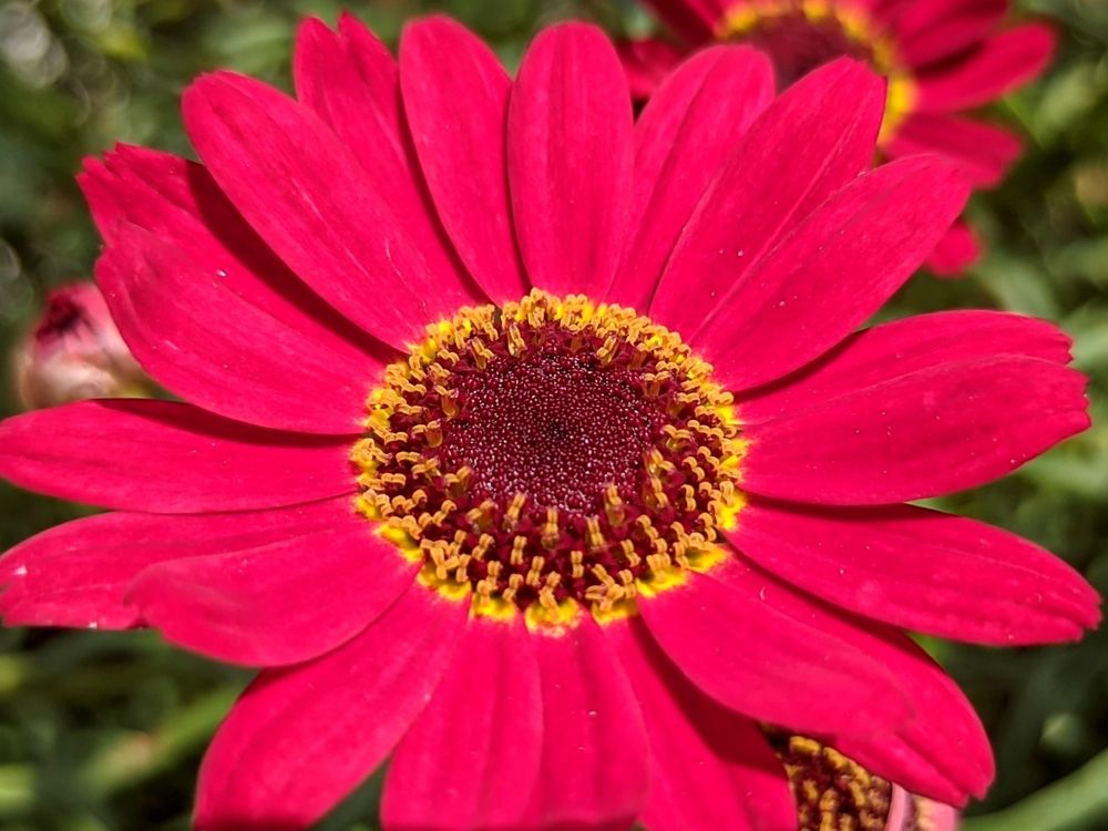 Фотография автора Андрей Павловский