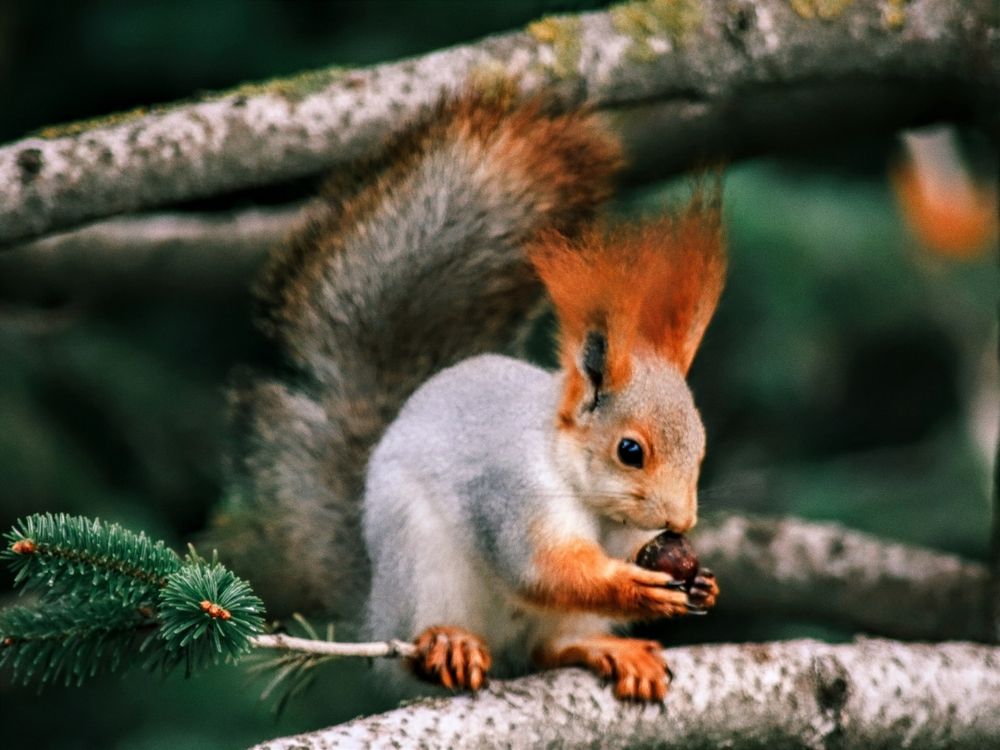 Фотография автора Андрей Павловский