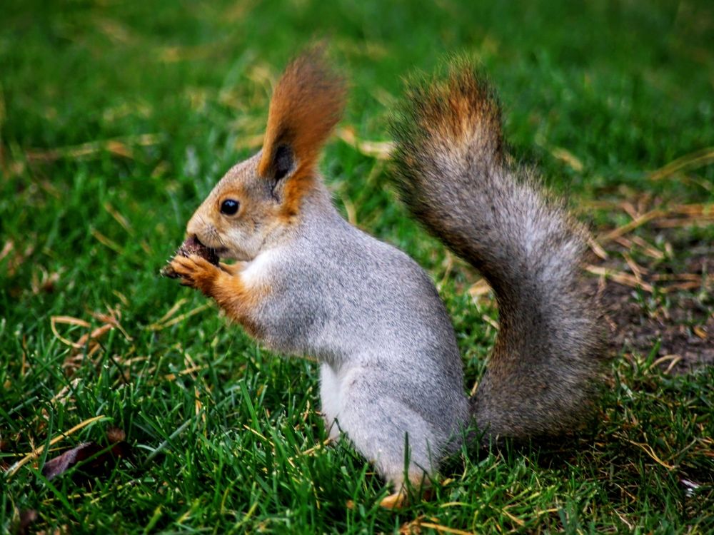 Фотография автора Андрей Павловский