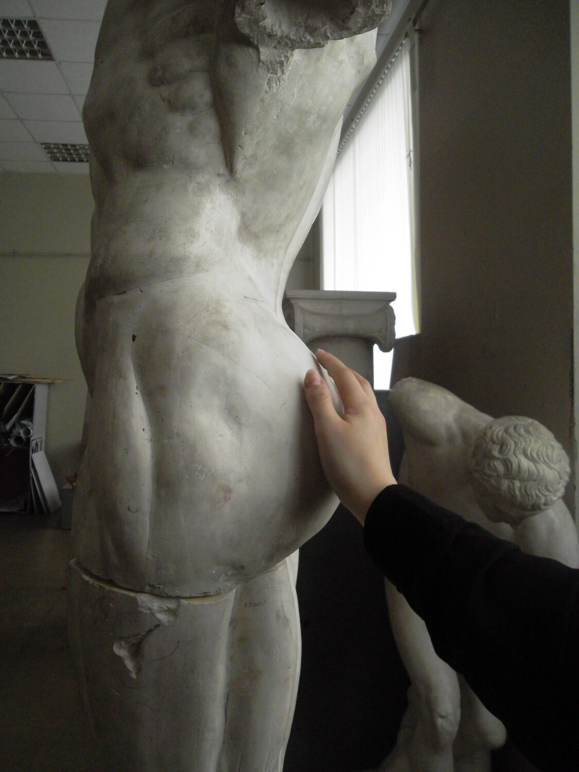 Photo #12482457