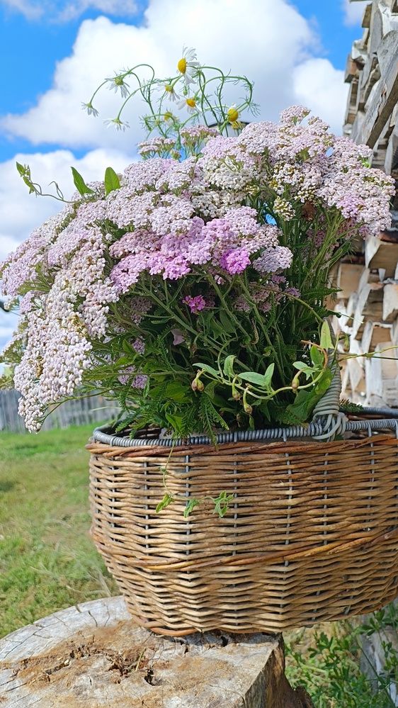 Photograph by Ирина Луговых