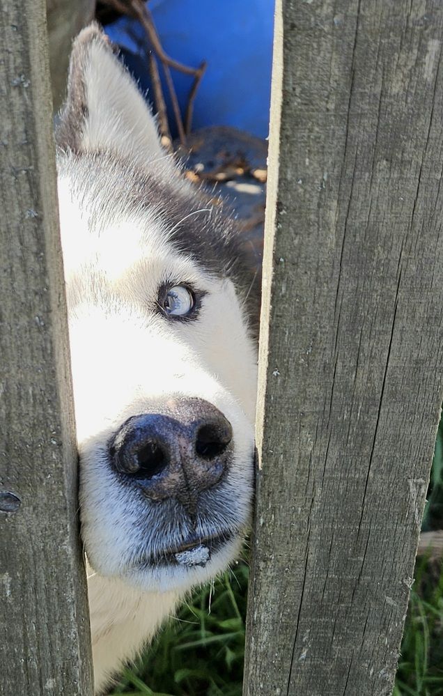 Photograph by Эльвира