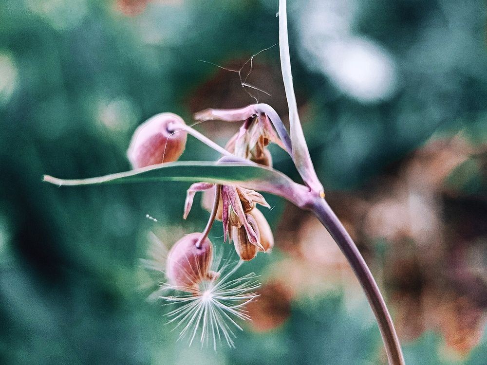 На рассвете