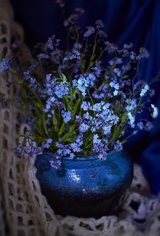 Photograph by Наталья Шевелева