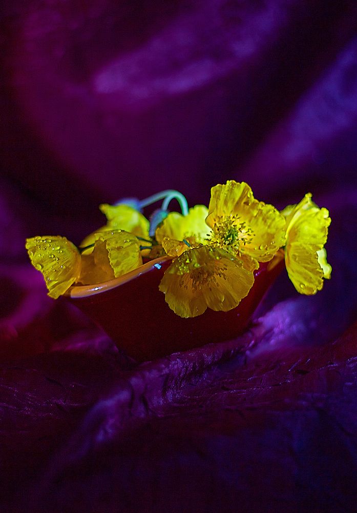 Photograph by Наталья Шевелева