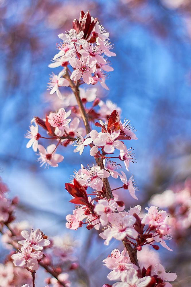 Photograph by Наталья Шевелева