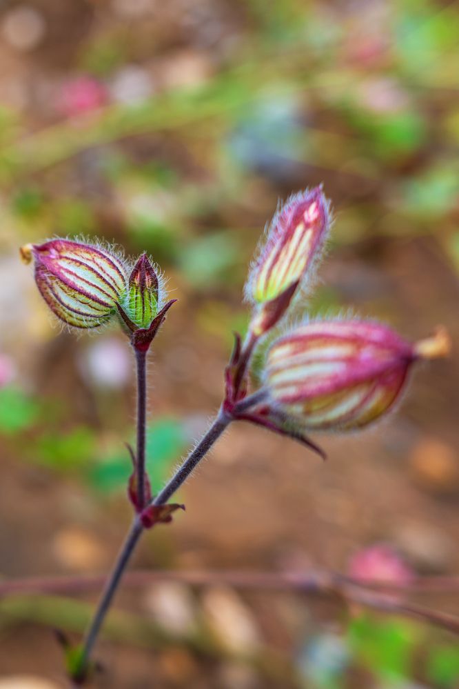 Photograph by Демьян Лопатов