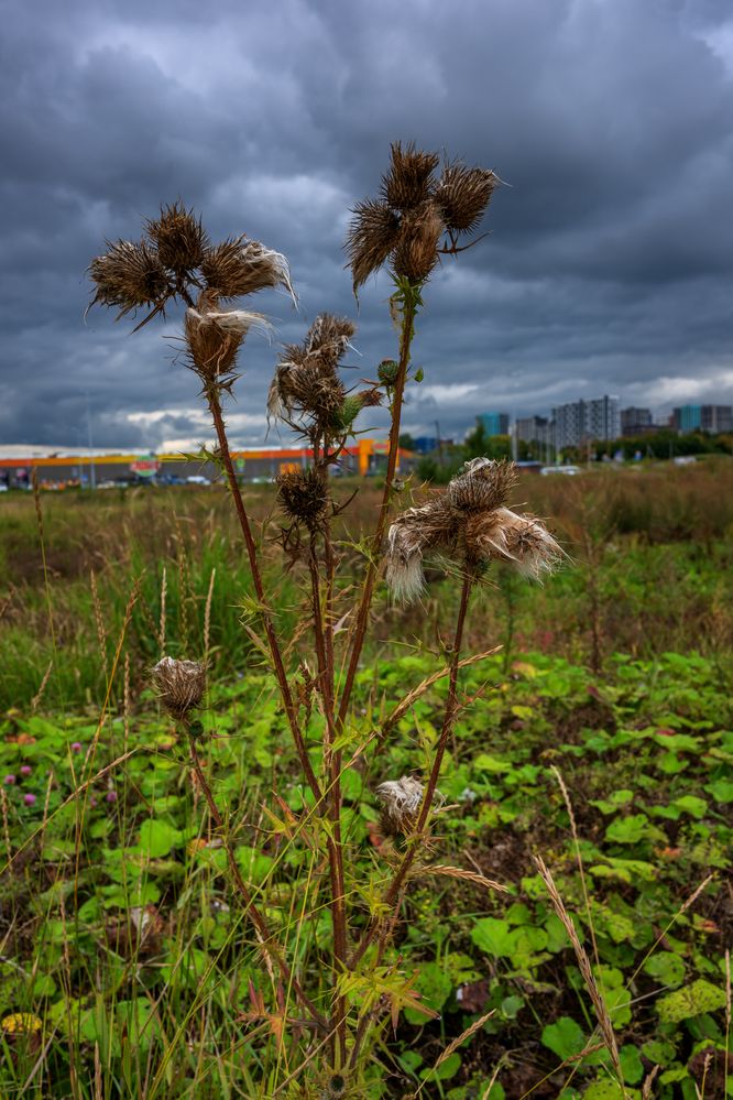 Photograph by Демьян Лопатов