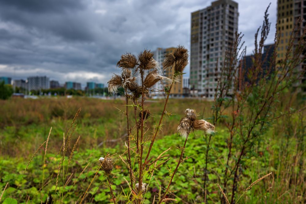 Photograph by Демьян Лопатов