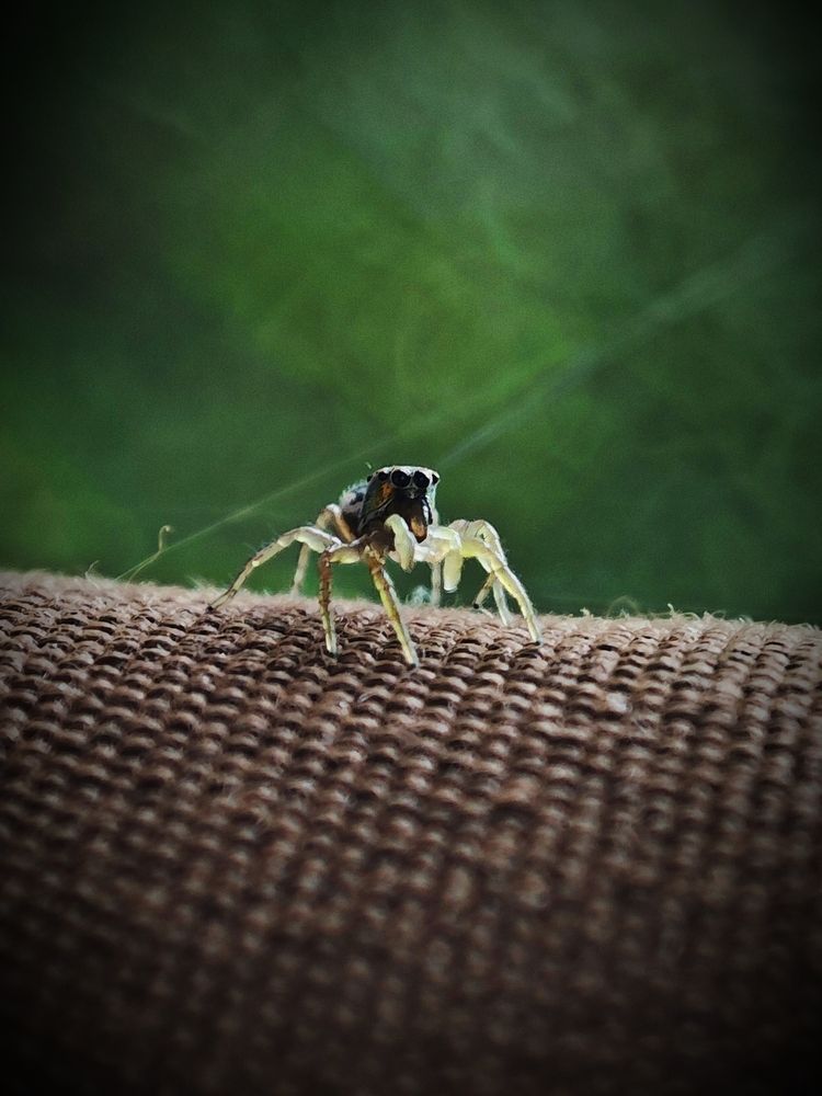 Photograph by Алексей Климов
